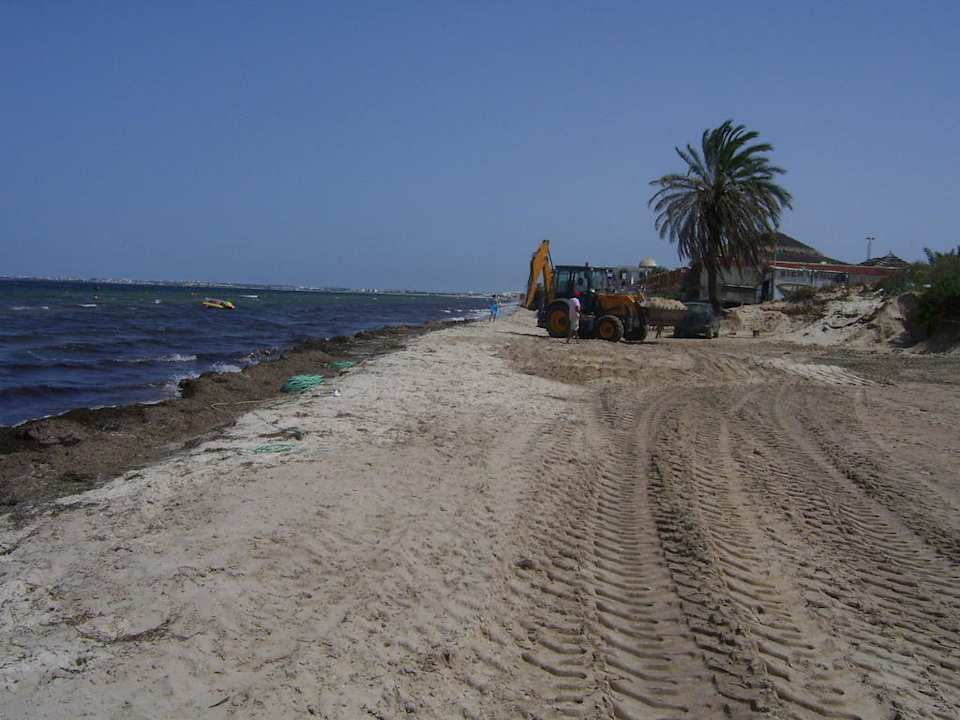 Bagger am Strand Alassio Hotel and Thalasso