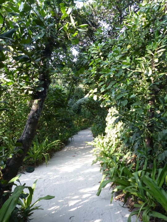 Einer der vielen Wege NH Collection Maldives Reethi Resort