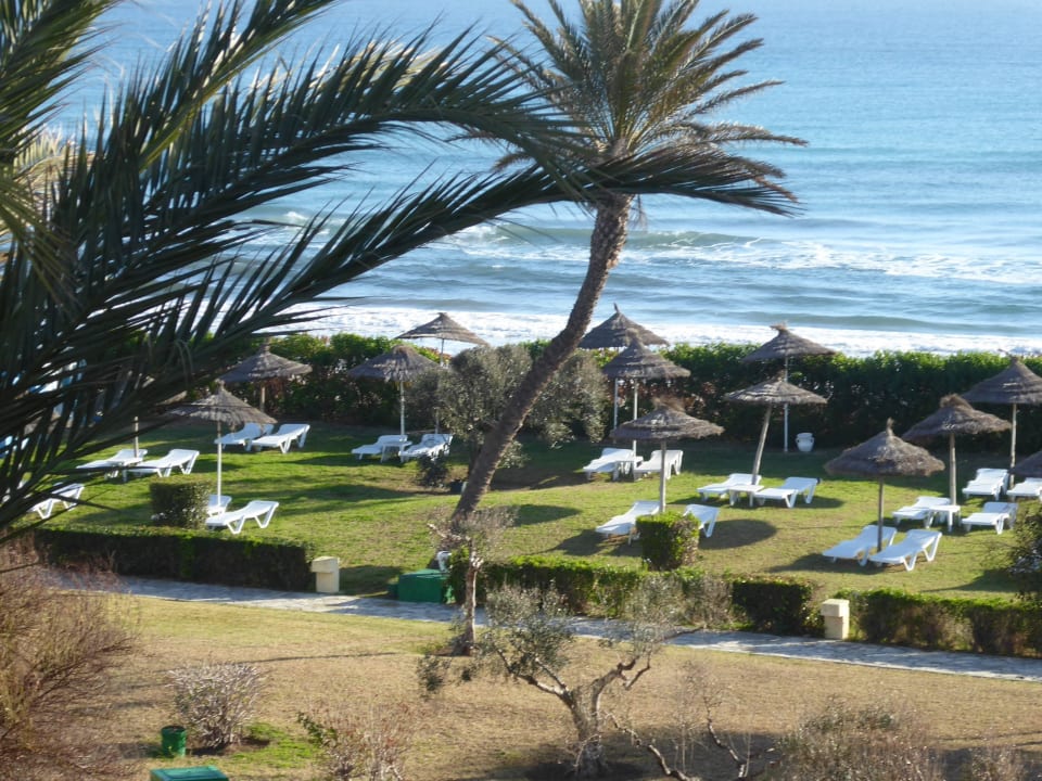 Vom bar Mahdia Palace Thalasso