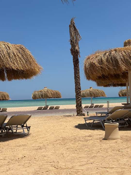 Strand JAZ Elite Asteria