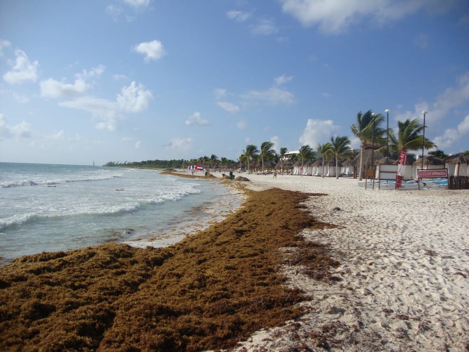 Und Blick zu den Nachbarn Catalonia Playa Maroma