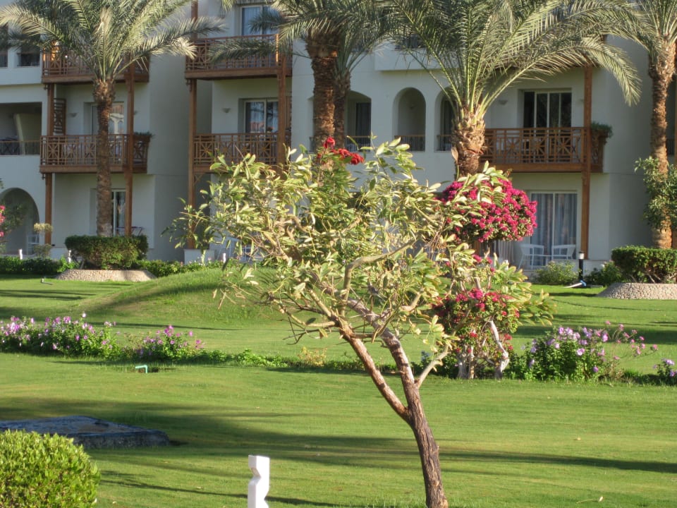 Schöner Garten Pickalbatros Dana Beach Resort - Hurghada