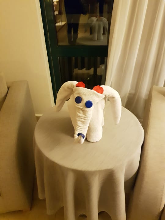 Zimmer PALOMA Perissia