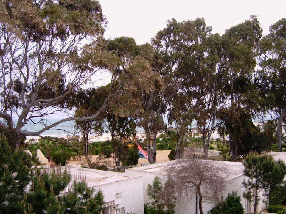 Gartenanlage Movie Gate Miramar