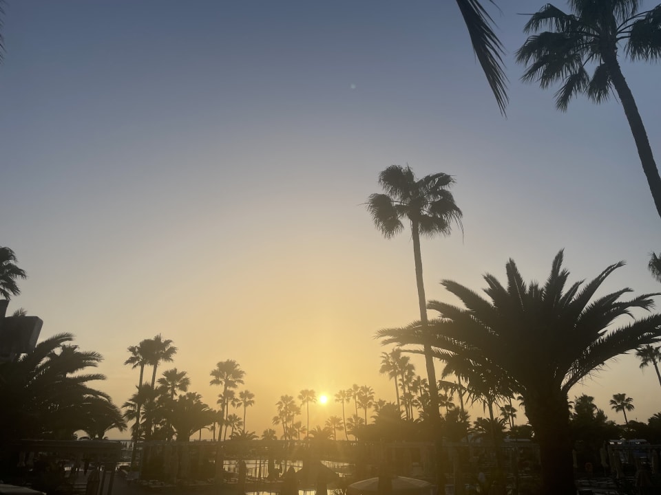 Gartenanlage Hotel Riu Gran Canaria