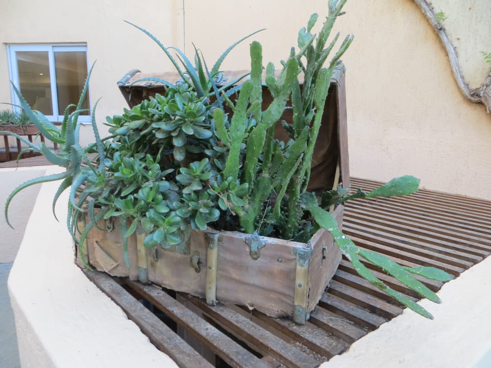 Wunderschöne Deko auf dem Weg zum Restaurant Anissa Beach & Village