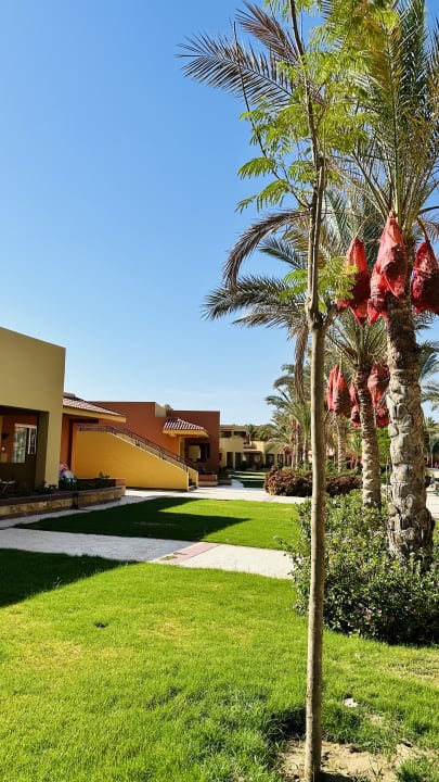 Gartenanlage Malikia Resort Abu Dabbab
