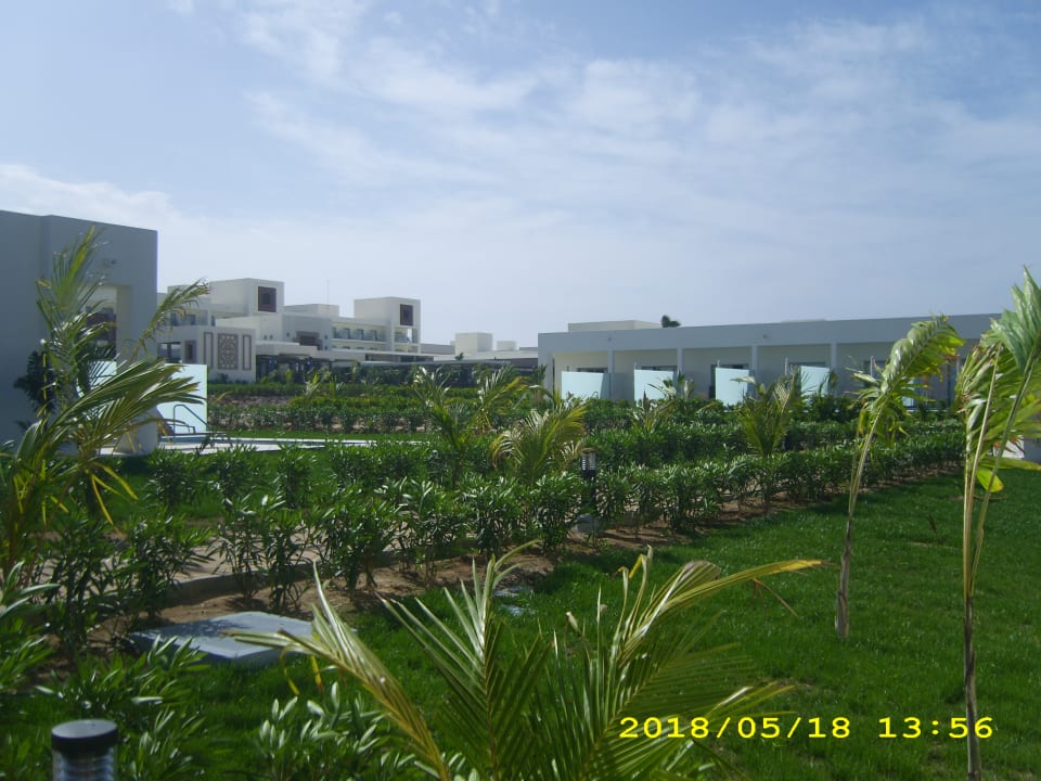 Gartenanlage Hotel Riu Palace Boavista
