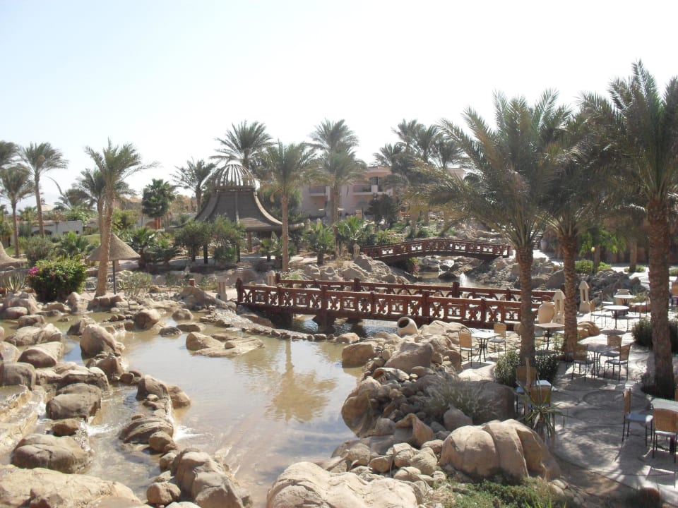 Ogród Parrotel Beach Resort