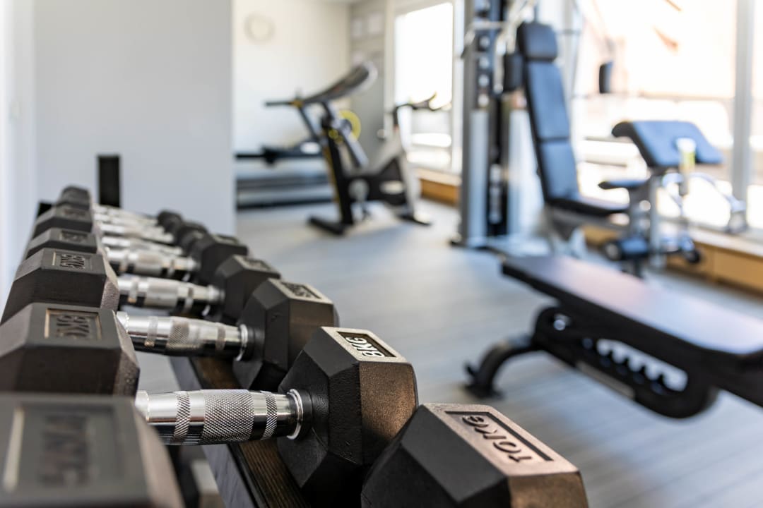 Sport & Freizeit Hotel Sofitel Strasbourg Grande Ile