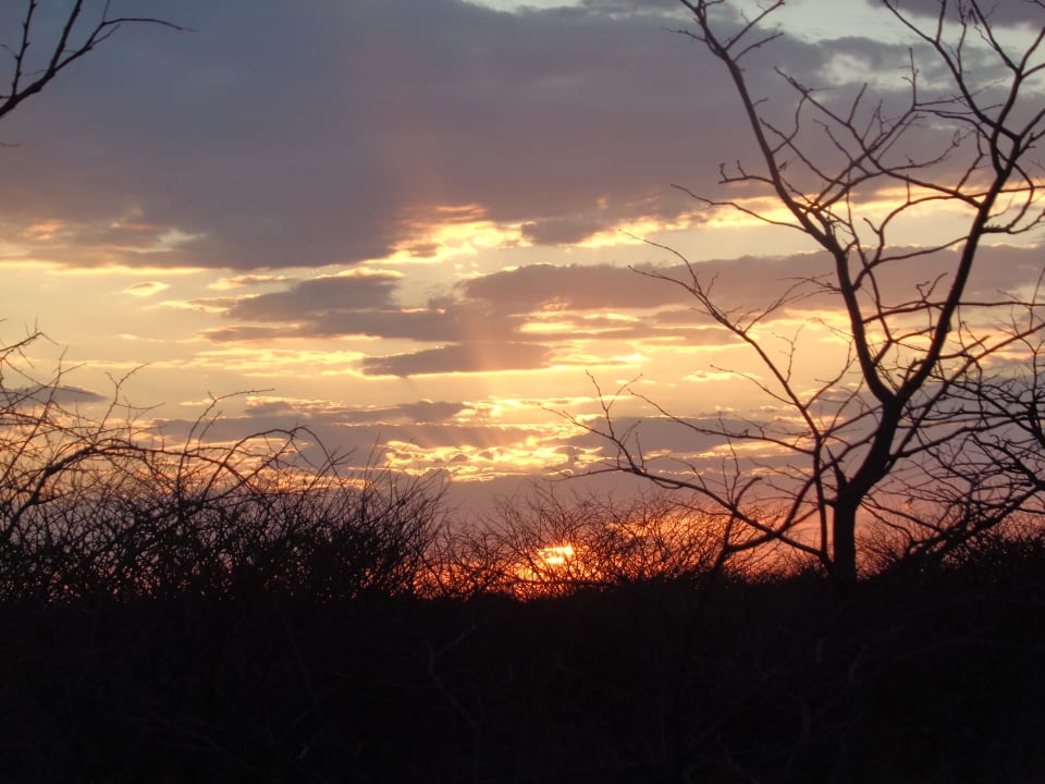 Ausblick Mopane Village Etosha