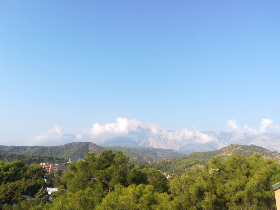 Ausblick The Norm Oriental