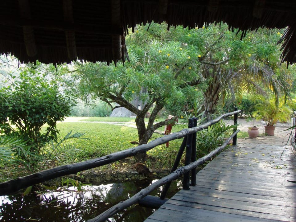 Gartenanlage Hotel Papillon Lagoon Reef
