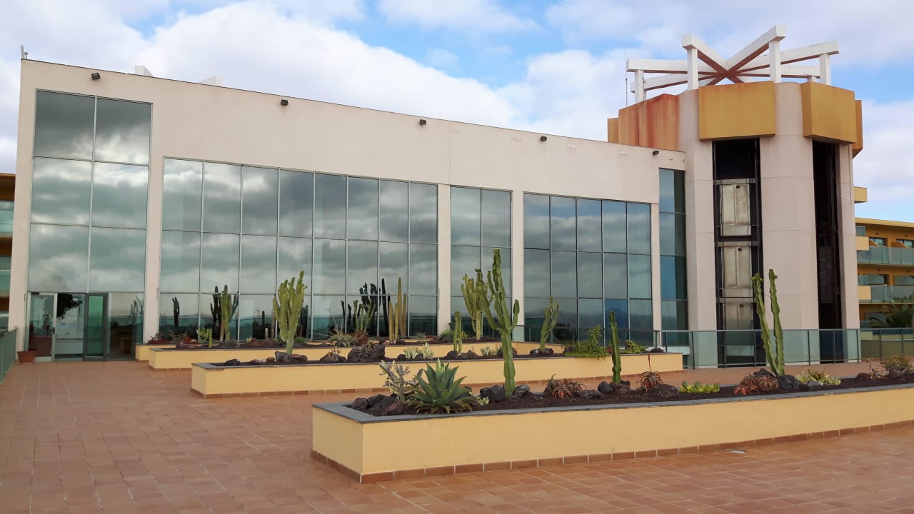 Terrasse hinter der Lobby  SBH Club Paraiso Playa