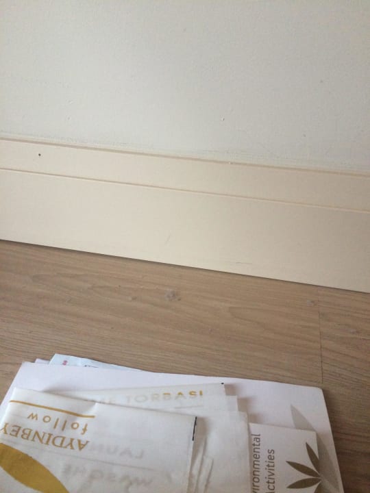 Wollmäuse nach Putzfrau Aydinbey Kings Palace & Spa