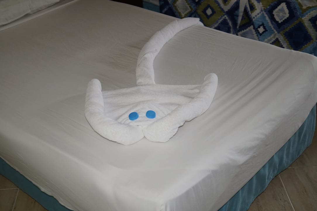 Zimmer Malikia Resort Abu Dabbab