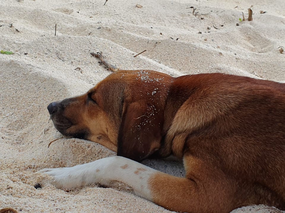 Sonstiges Radisson Blu Poste Lafayette Resort & Spa - Adults only