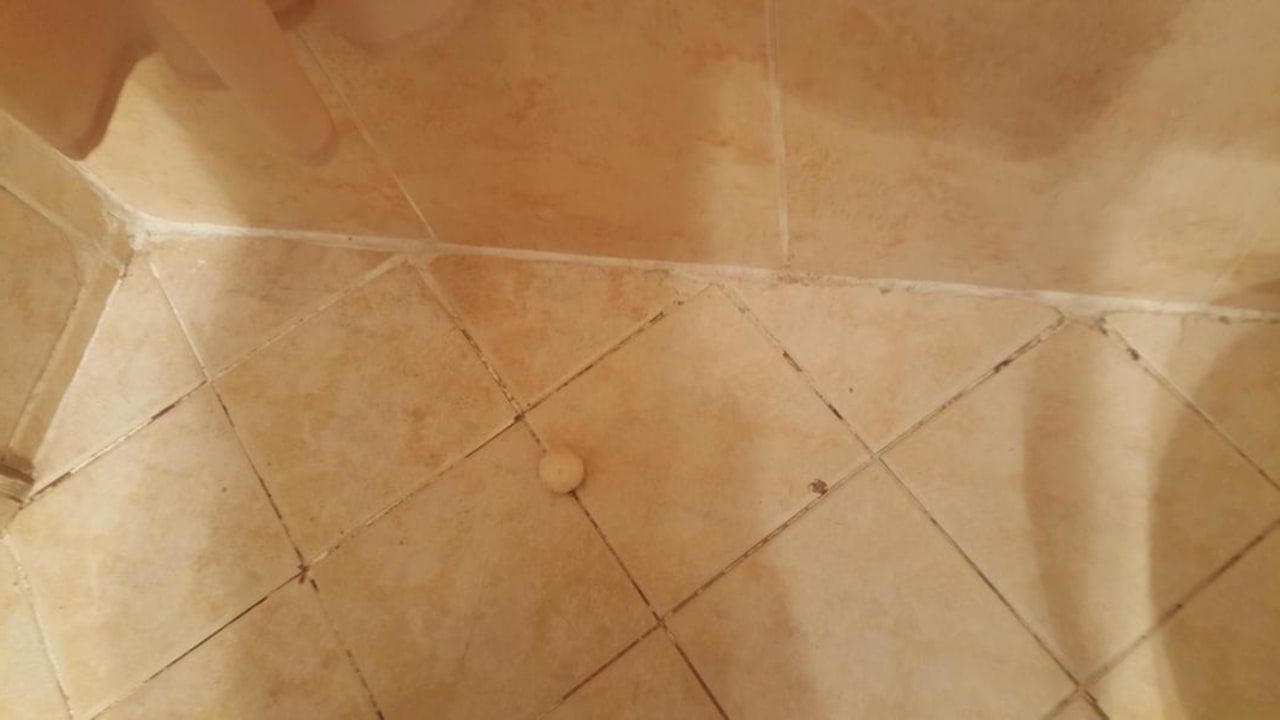 Zimmer Ghazala Gardens