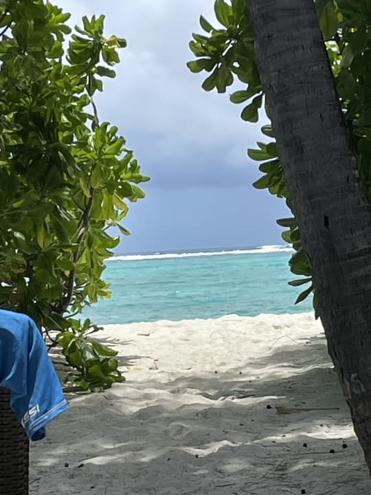 Zimmer Summer Island Maldives