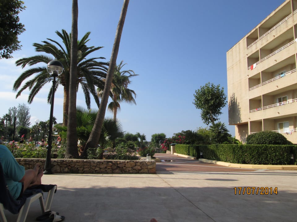 Mittagschlaf im Schatten  Hotel Club Cala Romani