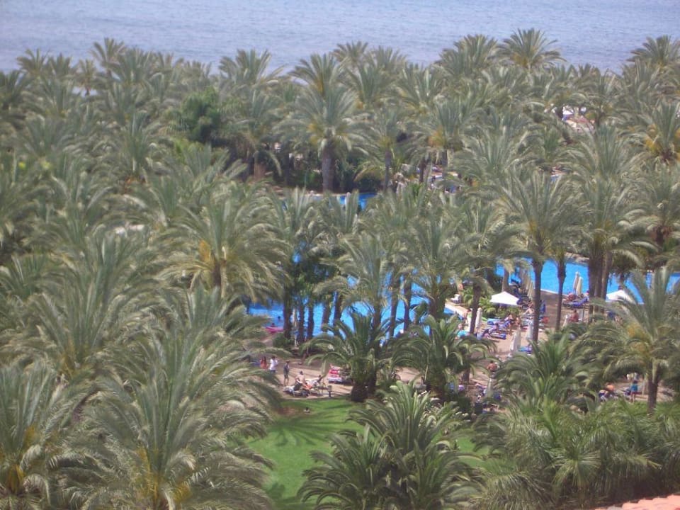 Ein von Palmen verdeckter Pool Lopesan Costa Meloneras, Resort & Spa