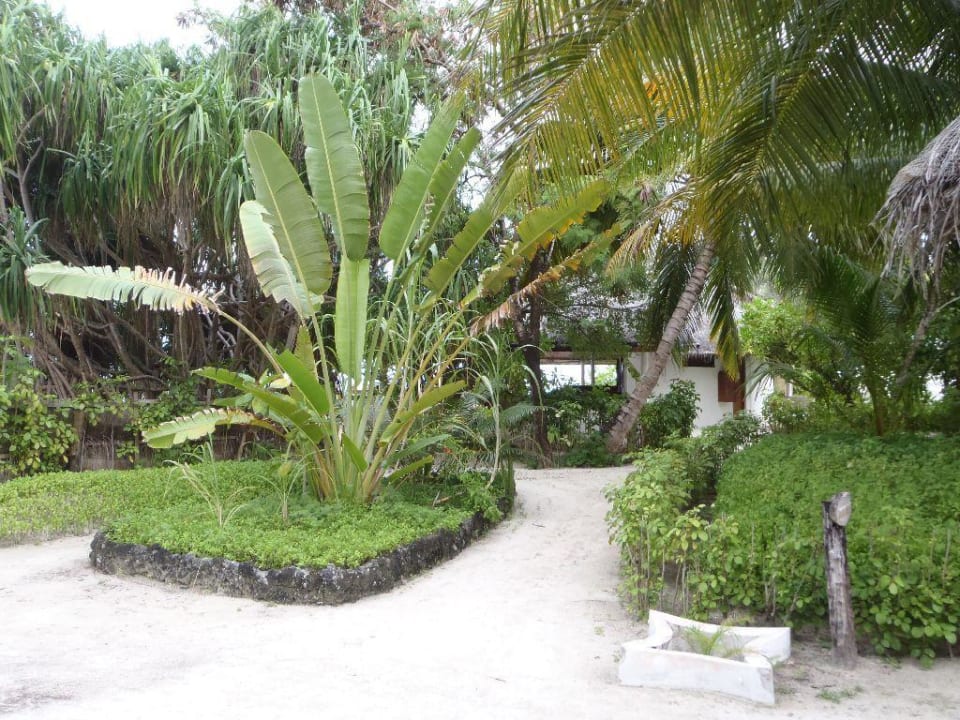 Palmen Angaga Island Resort