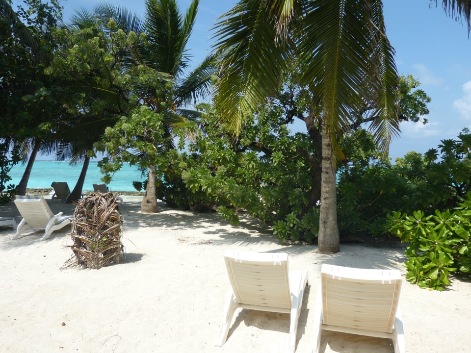 Superiorbungalow 228 Summer Island Maldives