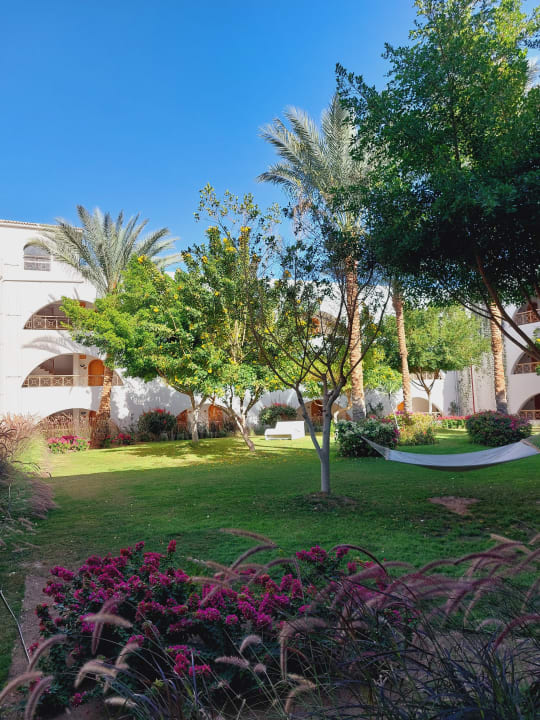 Gartenanlage Desert Rose