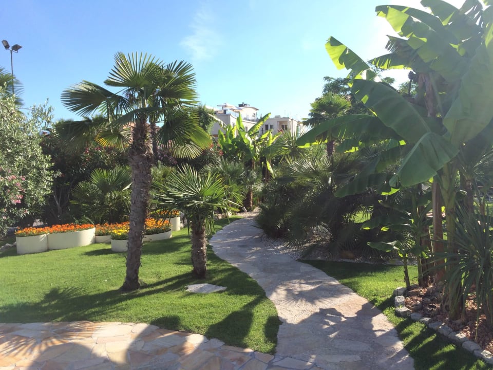 Große Anlage mit Liegen Color Hotel