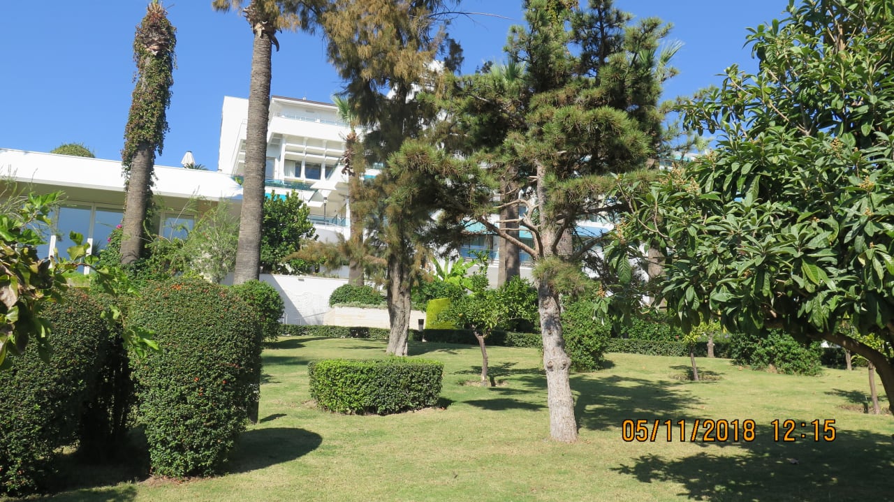 Zimmer Side Star Elegance