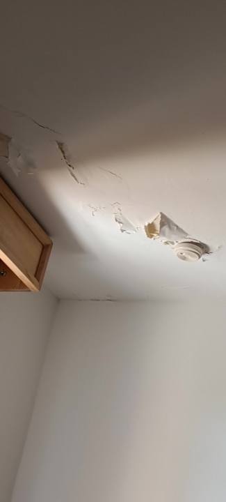 Zimmer Hotel Viva Dominicus Palace by Wyndham-All Inclusive Resort