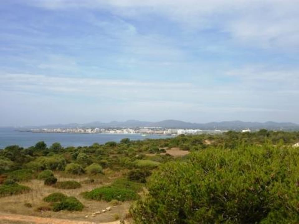 Ausblick auf Sa Coma von Castell N`Amer Hipotels Hipocampo Playa