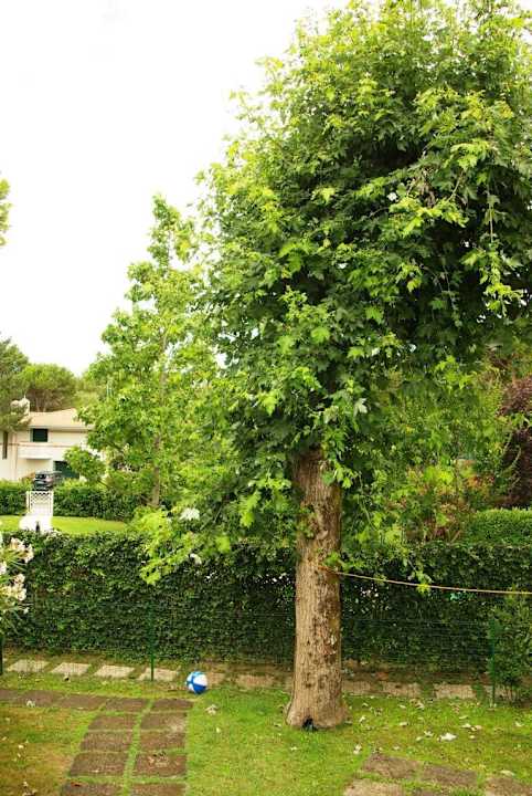 Garten mit HC-Ball Villa Erica