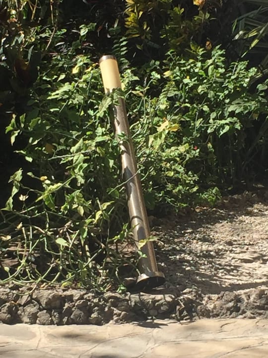 Lag die ganze Zeit Diani Sea Resort