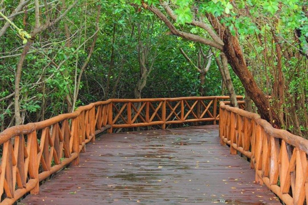 Verbindungsweg zum Strand Iberostar Selection Paraiso Maya Suites