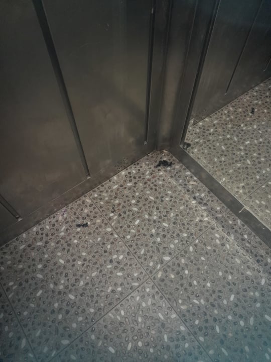 Sonstiges Aydinbey Gold Dreams