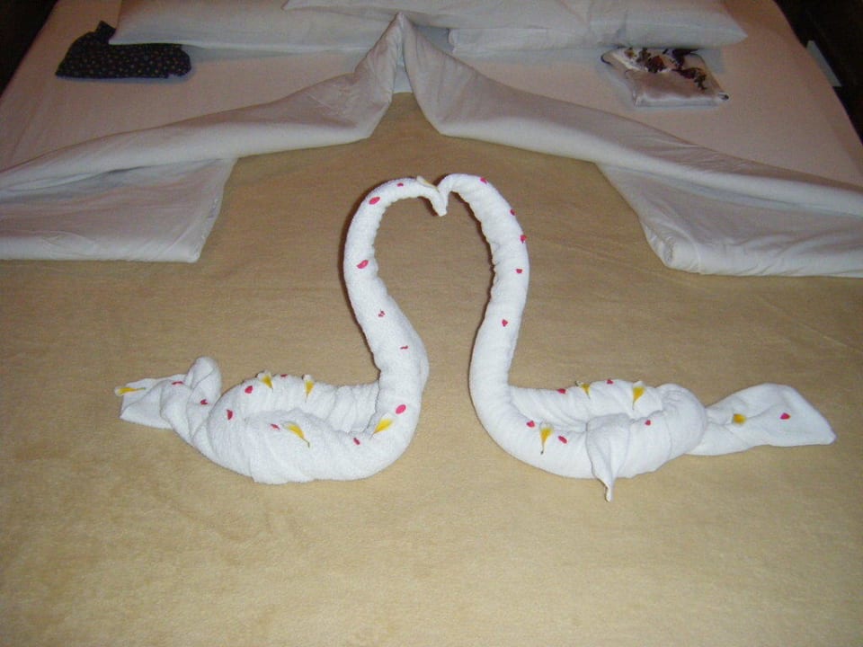 Zwei Schwäne und ein Herz Charmillion Gardens Aquapark
