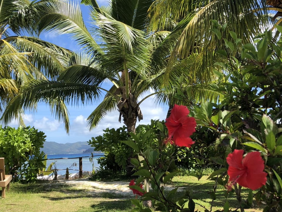Gartenanlage La Digue Island Lodge