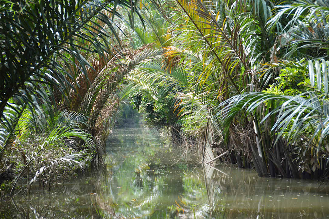 Kanał Mekongu Jardin du Mekong Homestay