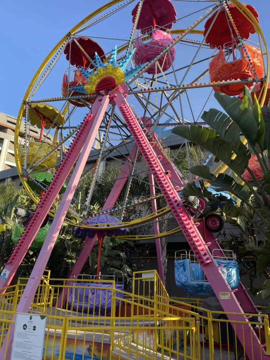 Sport & Freizeit Royal Seginus