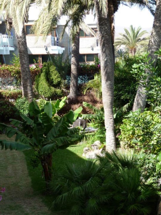 Blick in den Garten Apartamentos Nogalera