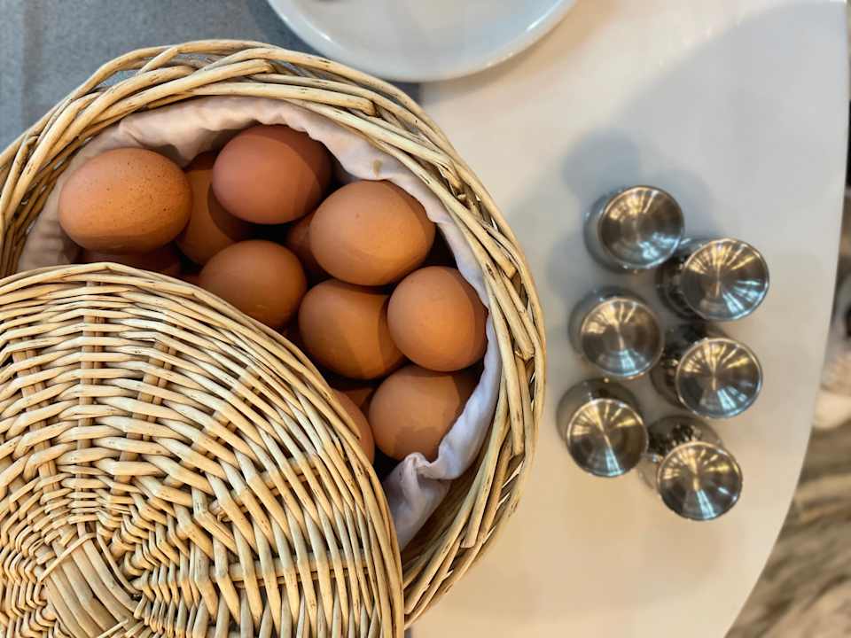 Gastro Hotel Pal Beach