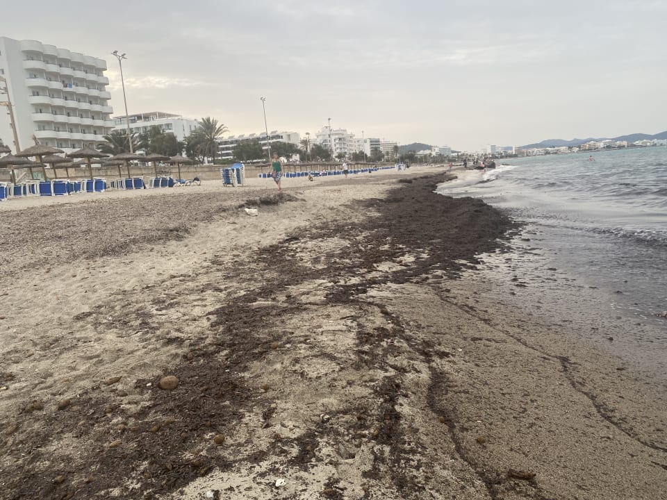 Strand Hipotels Bahía Cala Millor