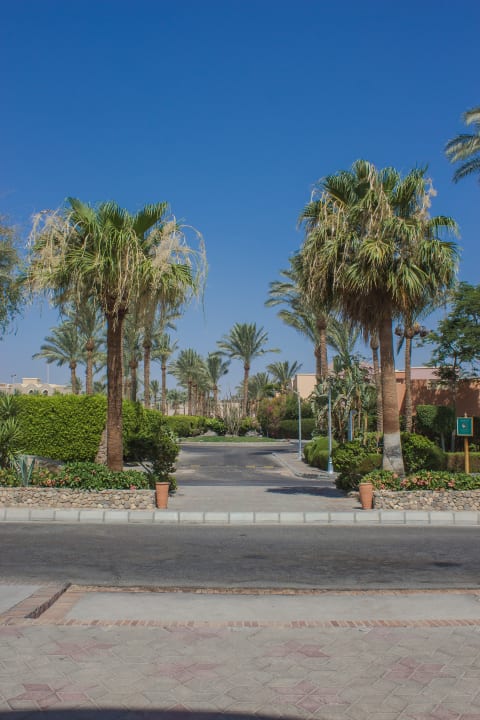 Gartenanlage Jaz Makadi Oasis Resort