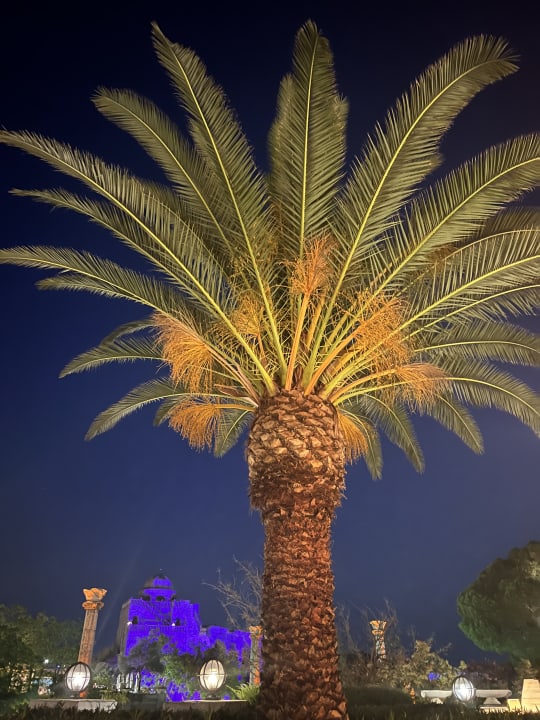 Gartenanlage Xanadu Resort Hotel