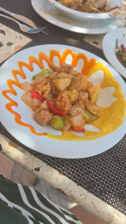 Gastro Seashell Vega