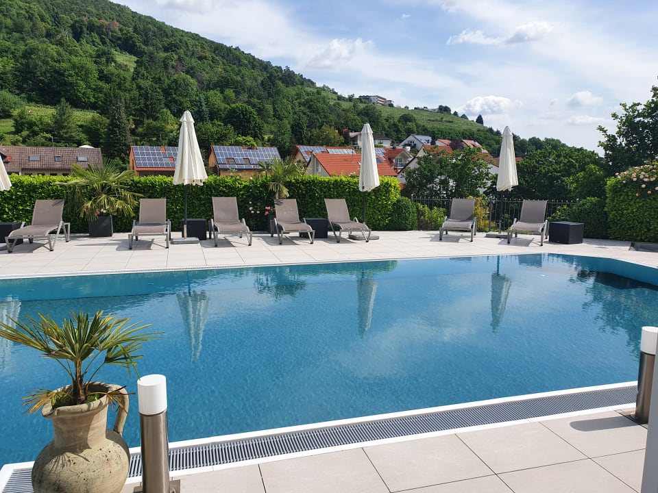 Pool Wiedemann's Weinhotel