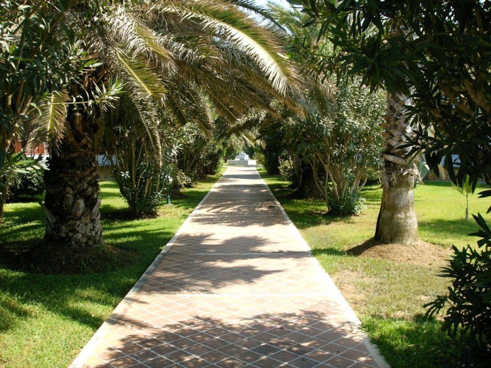 Natur pur Ali Bey Club