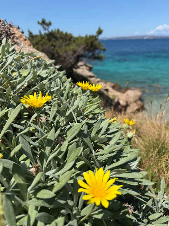 Ausblick Grand Hotel Smeraldo Beach