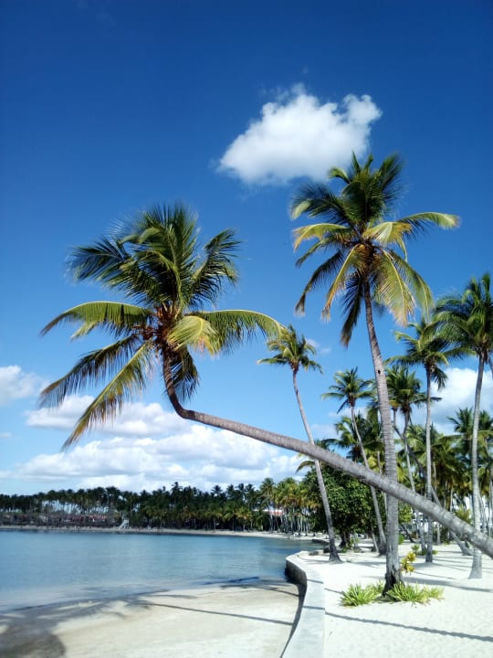 Strand Bahia Principe Luxury Bouganville